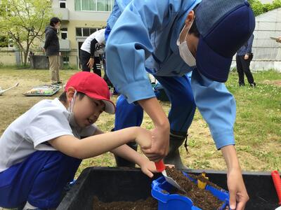 高等部のお兄さんに教えられて，苗を植えました。