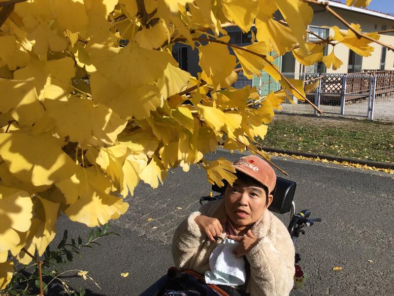 銀杏の葉がきれいだなあ。