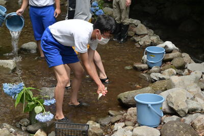 ニジマスをつかみました
