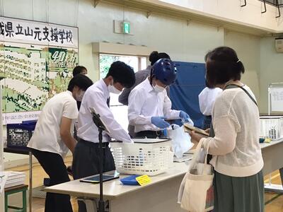 会計をしています