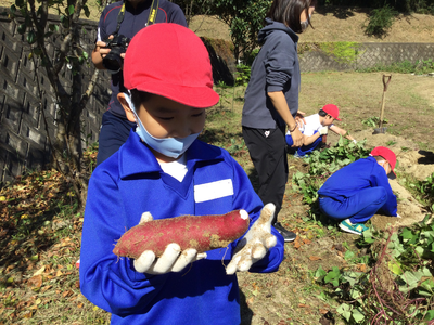 「おいもがとれたぞ！」