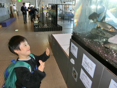 動いてる魚に大興奮！