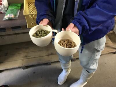 餌の違いについて説明を受けました