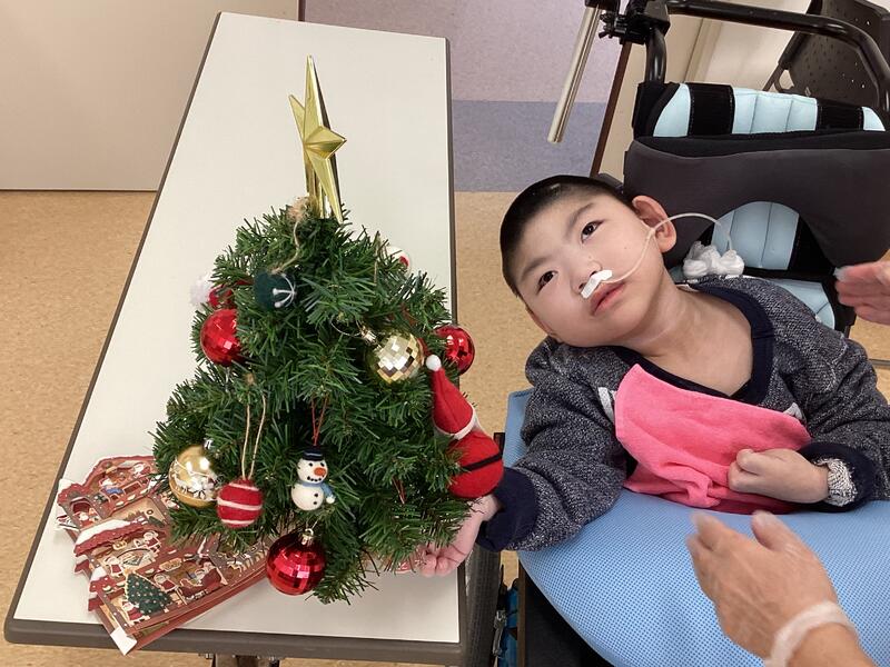 ツリーを触ってみたよ