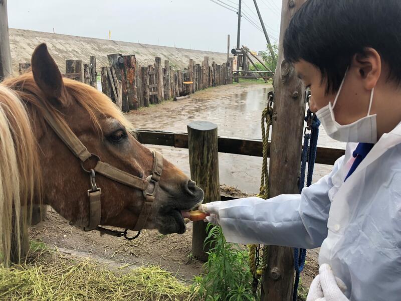 山元夢ファーム