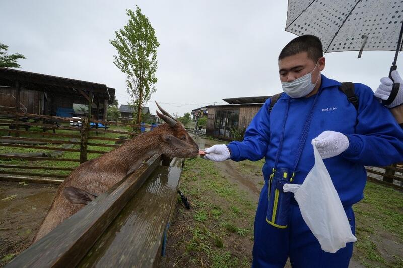 山元夢ファーム